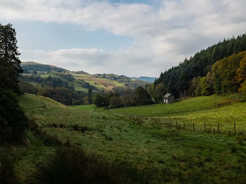 Hafod Estate